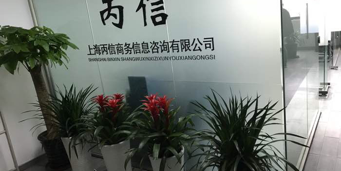 丙信商务信息 专业赋能，精准导航商业决策